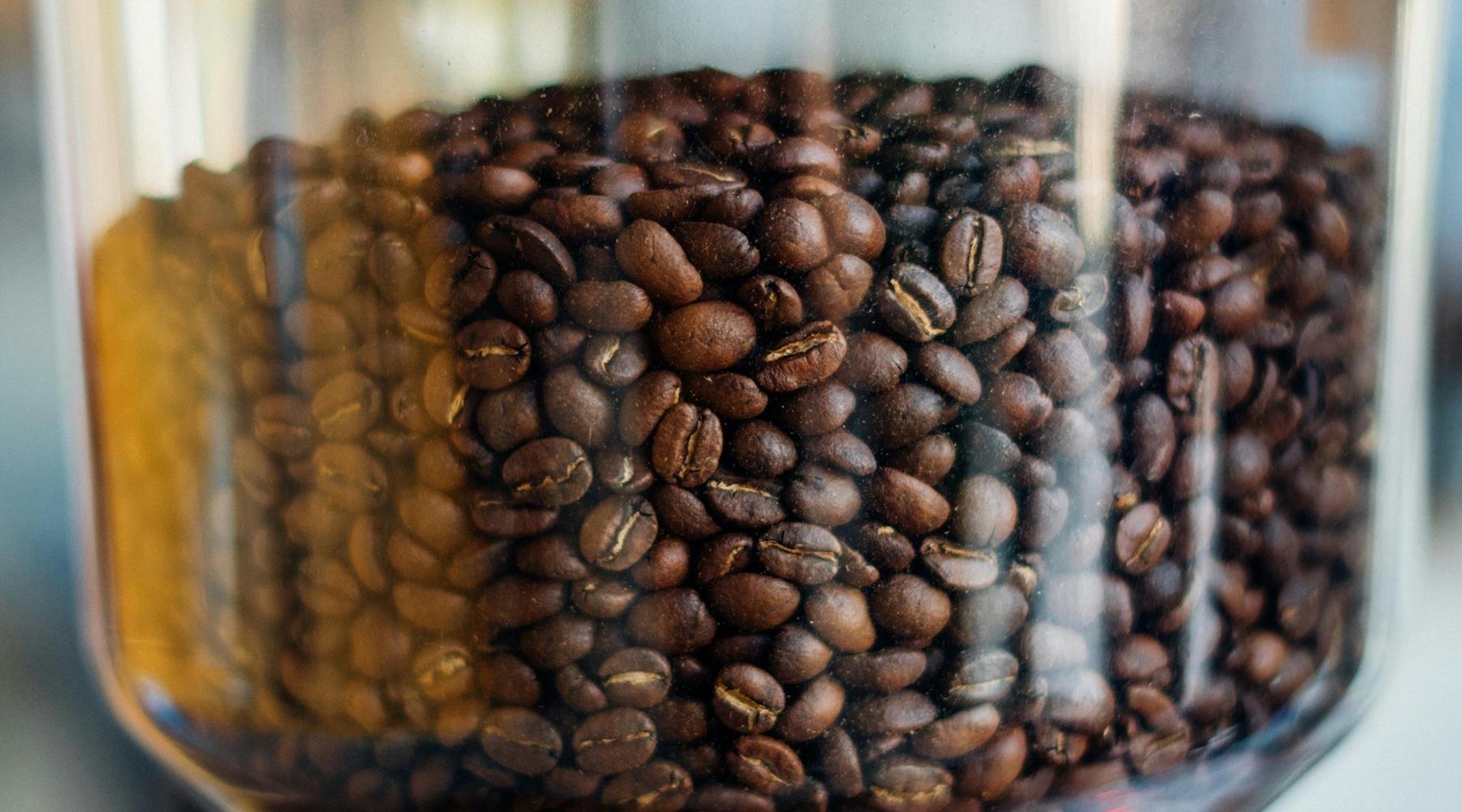 Glass hopper filled with fresh coffee beans 
